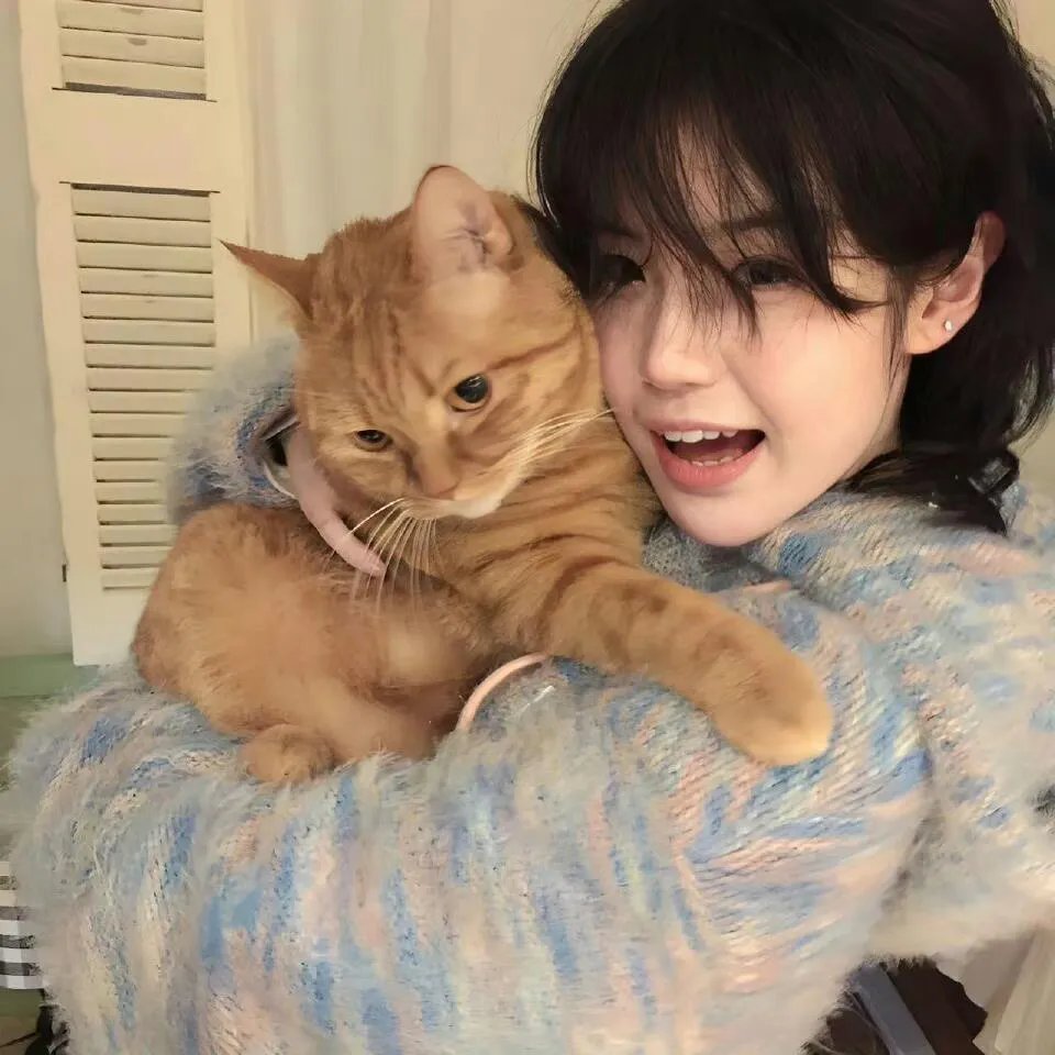 熊猫手札